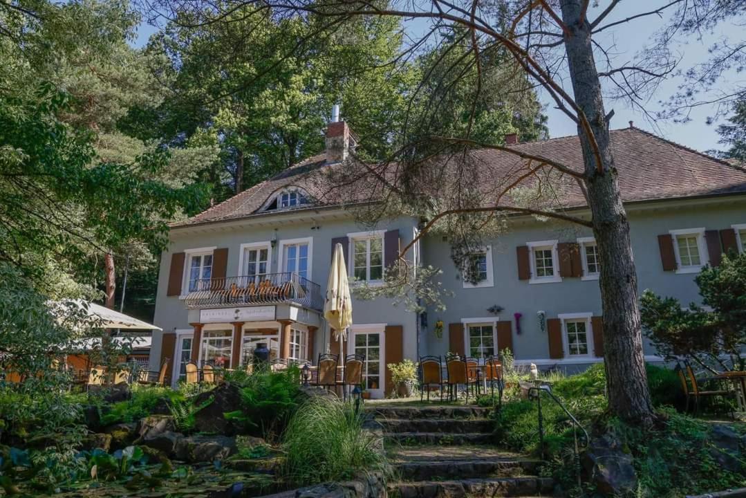 Hotel Und Restaurant Halbinsel Blieskastel Bagian luar foto