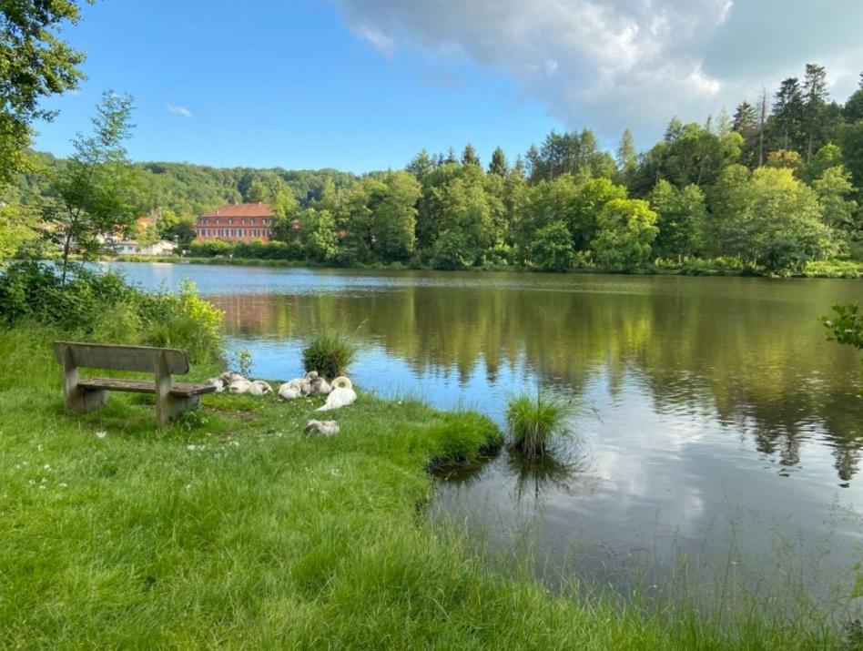 Hotel Und Restaurant Halbinsel Blieskastel Bagian luar foto